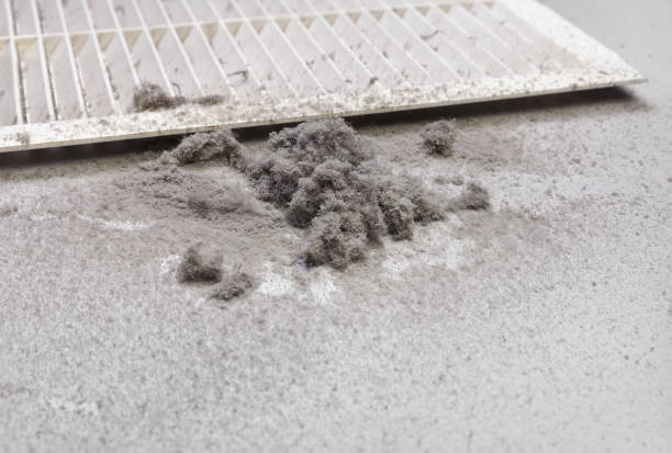 Best Local Air Duct Cleaning Services  in Volga, SD
